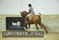 25BUCKEYE_07025 thumbnail
