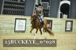 25BUCKEYE_07028 thumbnail