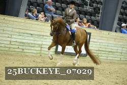 25BUCKEYE_07029 thumbnail