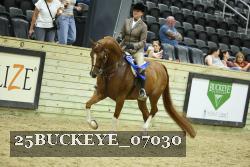 25BUCKEYE_07030 thumbnail