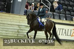 25BUCKEYE_07036 thumbnail