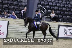 25BUCKEYE_07037 thumbnail
