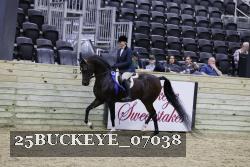 25BUCKEYE_07038 thumbnail