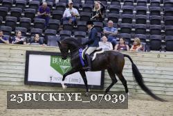 25BUCKEYE_07039 thumbnail