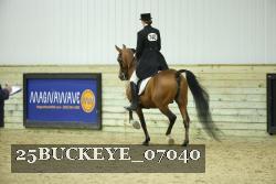 25BUCKEYE_07040 thumbnail