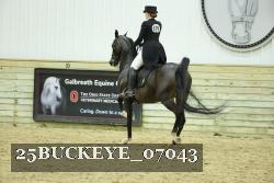 25BUCKEYE_07043 thumbnail