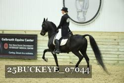 25BUCKEYE_07044 thumbnail