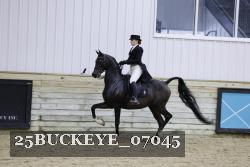 25BUCKEYE_07045 thumbnail