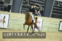 25BUCKEYE_07046 thumbnail