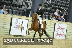 25BUCKEYE_07047 thumbnail