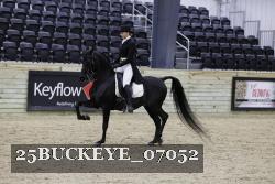 25BUCKEYE_07052 thumbnail