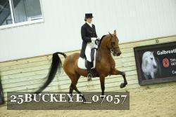 25BUCKEYE_07057 thumbnail