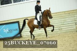 25BUCKEYE_07060 thumbnail