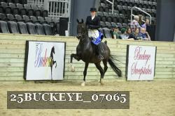 25BUCKEYE_07065 thumbnail