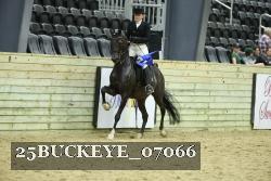 25BUCKEYE_07066 thumbnail