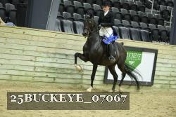 25BUCKEYE_07067 thumbnail