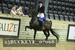 25BUCKEYE_07068 thumbnail