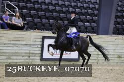 25BUCKEYE_07070 thumbnail