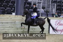 25BUCKEYE_07071 thumbnail