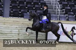 25BUCKEYE_07072 thumbnail