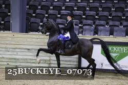 25BUCKEYE_07073 thumbnail
