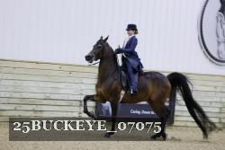 25BUCKEYE_07075 thumbnail