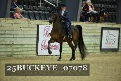 25BUCKEYE_07078 thumbnail