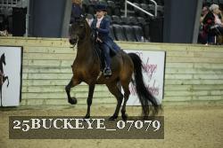 25BUCKEYE_07079 thumbnail