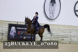 25BUCKEYE_07080 thumbnail