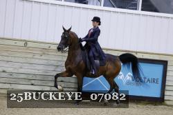 25BUCKEYE_07082 thumbnail