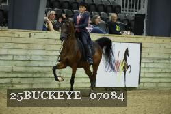 25BUCKEYE_07084 thumbnail