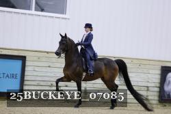 25BUCKEYE_07085 thumbnail