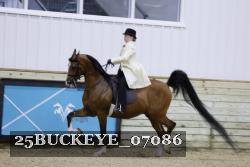 25BUCKEYE_07086 thumbnail