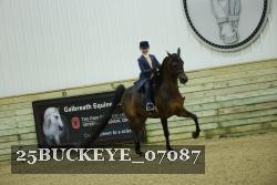25BUCKEYE_07087 thumbnail