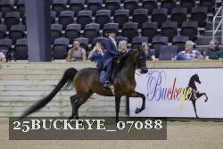 25BUCKEYE_07088 thumbnail