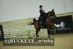 25BUCKEYE_07089 thumbnail