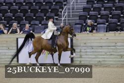 25BUCKEYE_07090 thumbnail