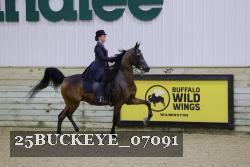 25BUCKEYE_07091 thumbnail