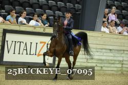 25BUCKEYE_07095 thumbnail