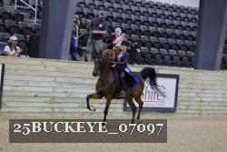 25BUCKEYE_07097 thumbnail