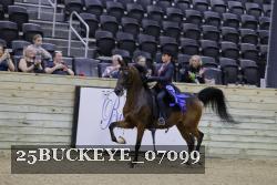 25BUCKEYE_07099 thumbnail