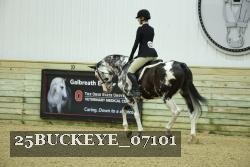 25BUCKEYE_07101 thumbnail