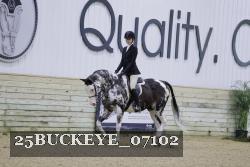 25BUCKEYE_07102 thumbnail