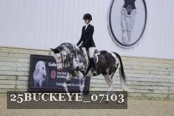 25BUCKEYE_07103 thumbnail