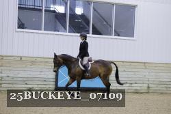 25BUCKEYE_07109 thumbnail