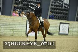 25BUCKEYE_07111 thumbnail