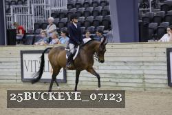 25BUCKEYE_07123 thumbnail