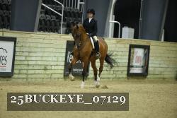 25BUCKEYE_07129 thumbnail