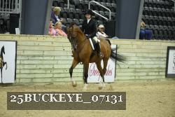 25BUCKEYE_07131 thumbnail