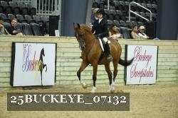 25BUCKEYE_07132 thumbnail